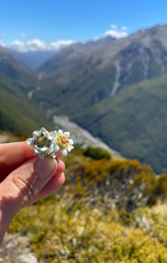 Arthur'S Pass Motel & Lodge Kültér fotó